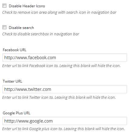 theme options