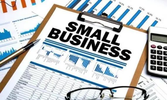 What is small Business?